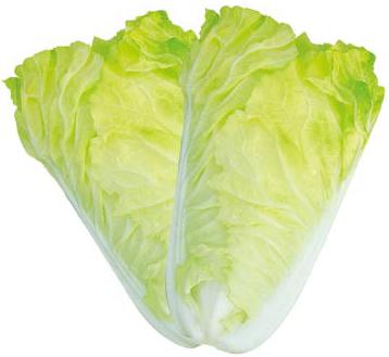 特早30——白菜 特早30——白菜